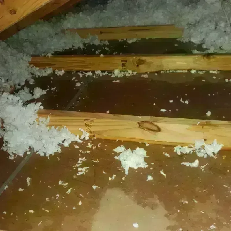 Attic Water Damage in Garden City, TX