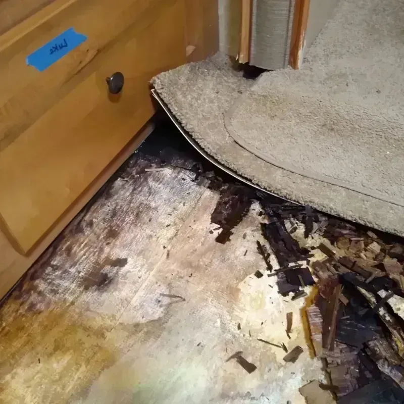 Wood Floor Water Damage in Garden City, TX